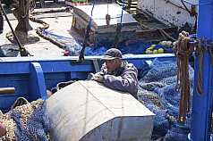 marokkanischer Hafenarbeiter