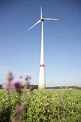 Windkraftanlage im Grünen