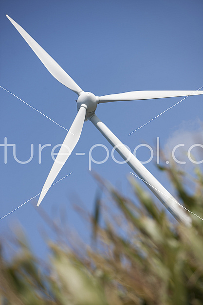 Windkraftrad auf Wiese