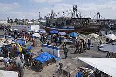 Fischmarkt am Hafen