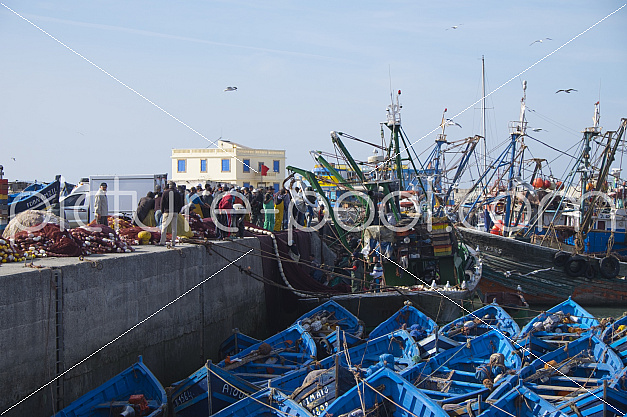 Ankunft eines Fischerbootes Ankunft eines Fischerbootes
