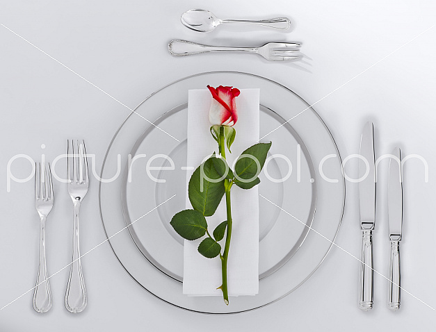 Arrangements, Feste, Objekte, Essen, Metall, Natur, Pflanzen