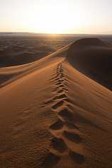 Sanddüne Marokko
