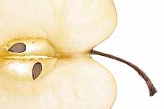 Apfel mit Kernen weiß durchleuchtet