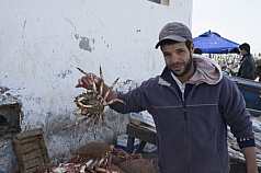 Fischverkäufer mit Krabbe