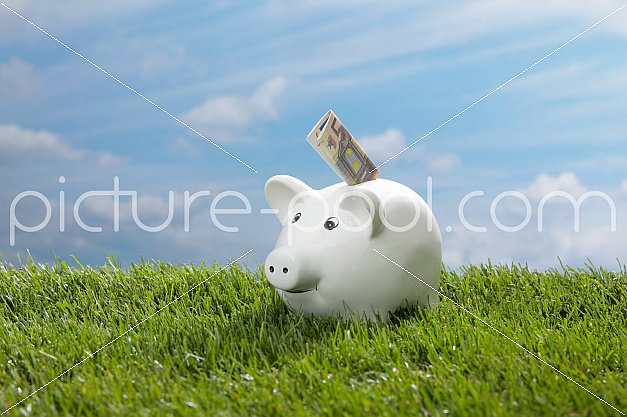 Sparschwein im Gras