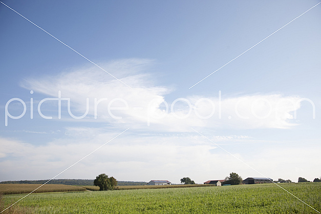 Feld mit Bauerhöfen