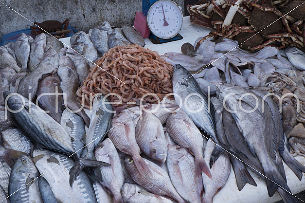 Fischverkauf in einem marokkanischen Hafen