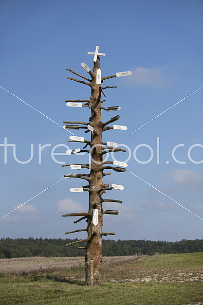 Wegweiser Baum 